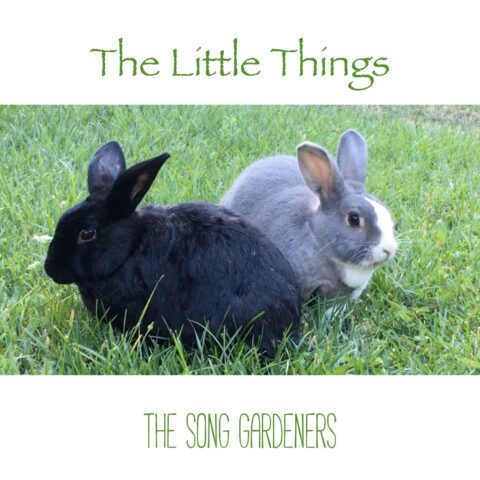 “The Little Things” – Single